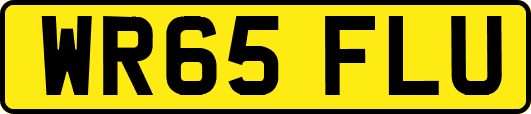 WR65FLU
