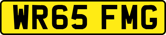 WR65FMG