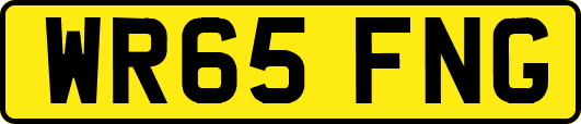 WR65FNG