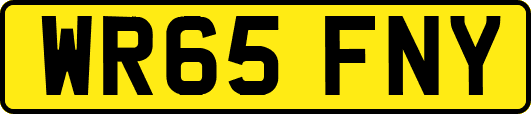 WR65FNY