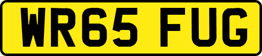 WR65FUG