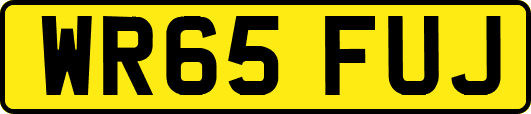 WR65FUJ