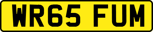 WR65FUM