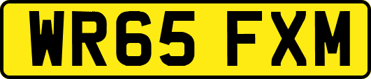 WR65FXM