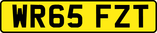 WR65FZT
