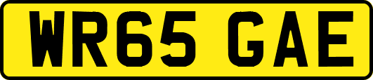 WR65GAE