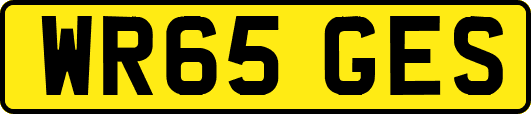 WR65GES