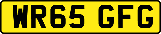 WR65GFG