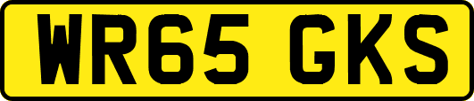 WR65GKS