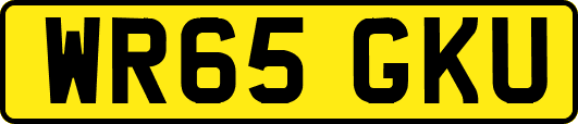WR65GKU