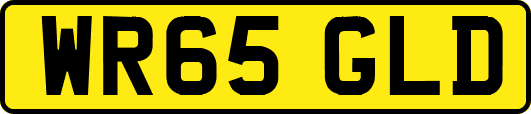 WR65GLD