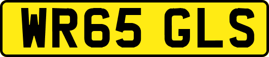 WR65GLS