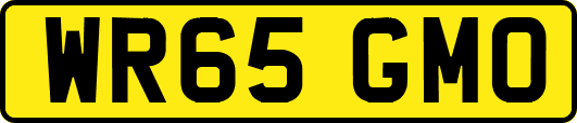 WR65GMO
