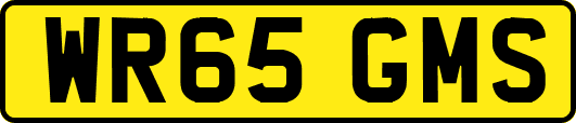 WR65GMS