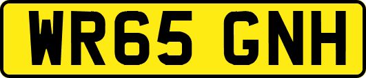 WR65GNH