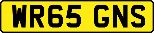 WR65GNS