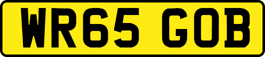 WR65GOB