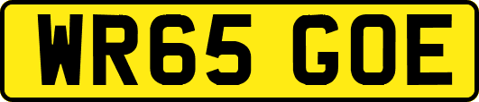WR65GOE