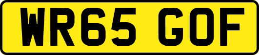 WR65GOF