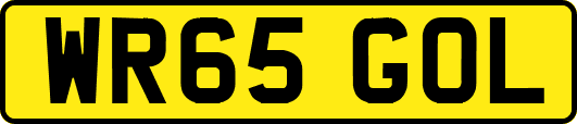 WR65GOL