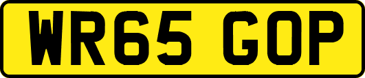 WR65GOP