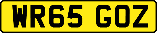 WR65GOZ