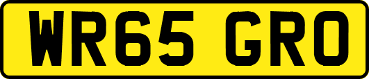 WR65GRO
