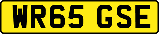 WR65GSE