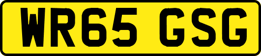 WR65GSG