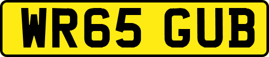 WR65GUB
