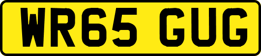 WR65GUG