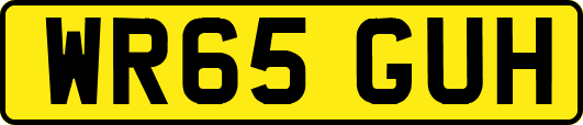 WR65GUH