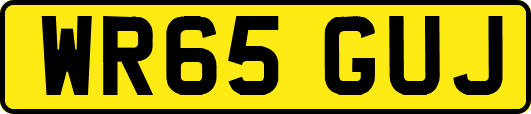 WR65GUJ