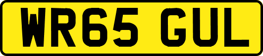 WR65GUL