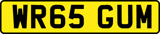 WR65GUM