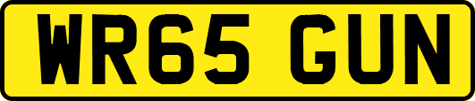 WR65GUN