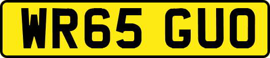 WR65GUO