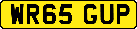 WR65GUP