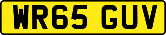 WR65GUV