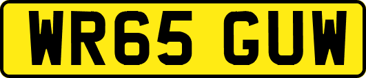 WR65GUW