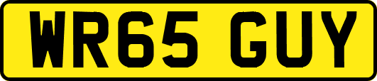 WR65GUY