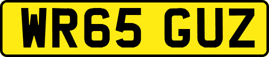 WR65GUZ
