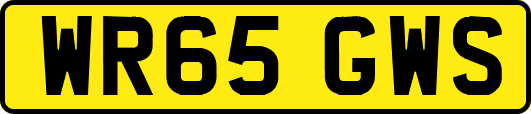 WR65GWS