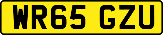 WR65GZU