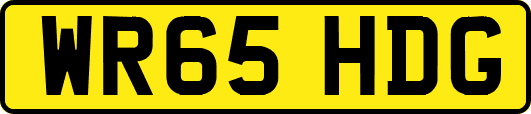 WR65HDG