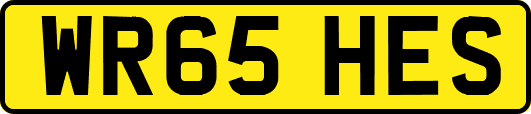 WR65HES