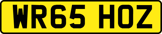 WR65HOZ
