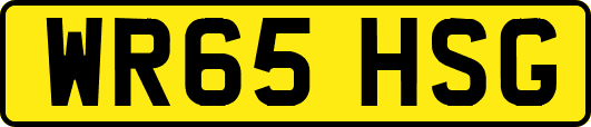 WR65HSG
