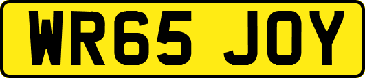 WR65JOY
