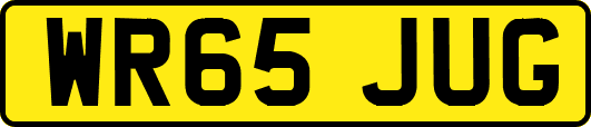 WR65JUG